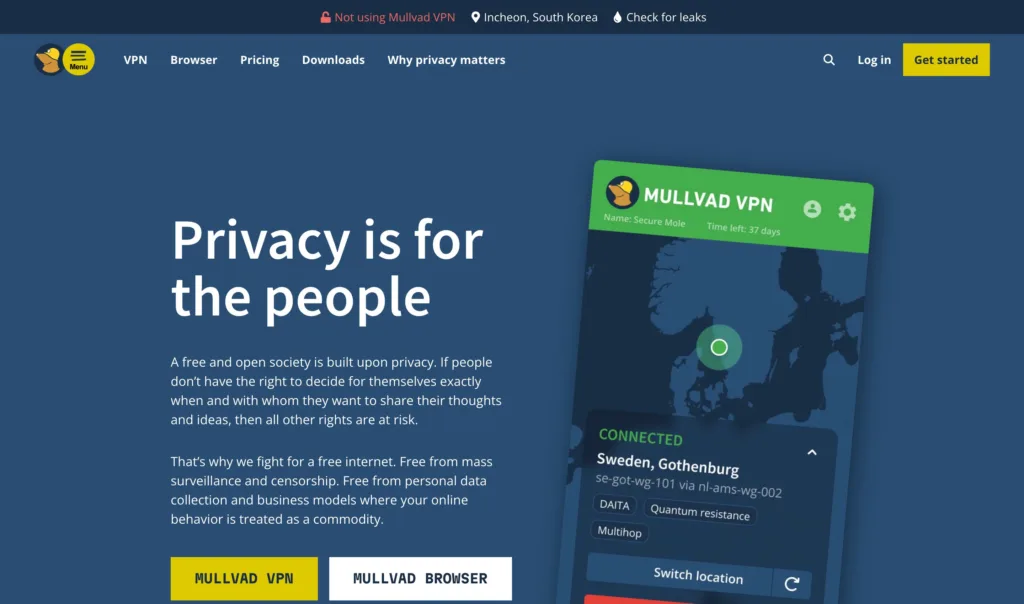 Mullvad — 현대적인 인터페이스와 디지털 프로덕트 UX 원본 사이트 히어로 캡처